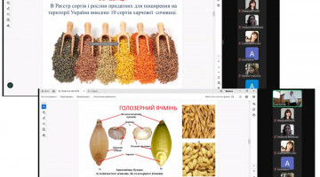 Круглий стіл: “Проблеми зберігання і переробки зерна та шляхи їх вирішення”